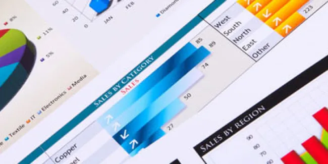 Budget & Supplementary Materials