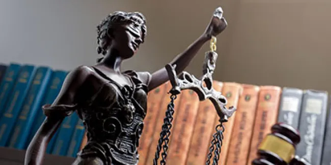 Legal Opinions